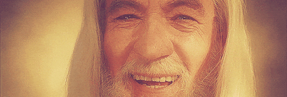 Výsledek obrázku pro gandalf gif