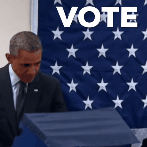 Voting Barack Obama GIF by Markpain
