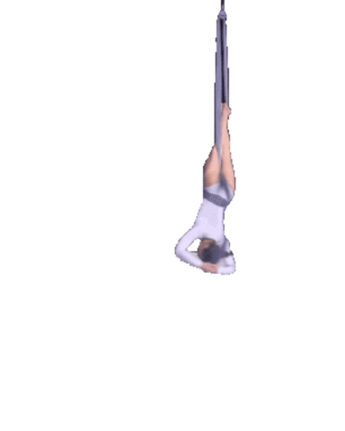 Pole dance academy Praha Sticker