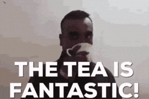 Pak Army Abhinandan GIF