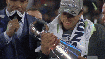 Super Bowl Champions GIF