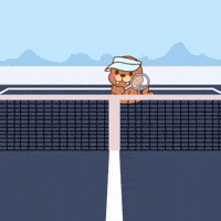 Point Tennis GIF by FROSTYS