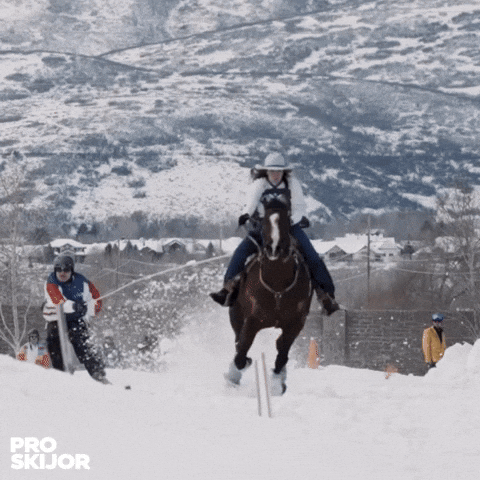 proskijor GIF
