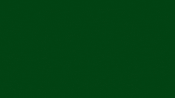 Moving To Connecticut Advice GIF