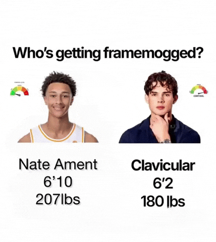 Tennessee Volunteers GIF