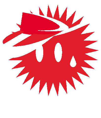 STEIBISONNE Sticker