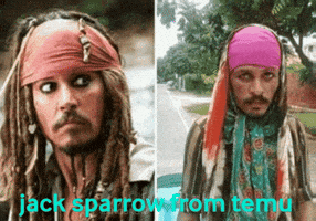 Meme GIF