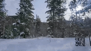 Christmas Snow GIF by Storyful