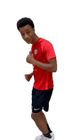 Handball Sticker