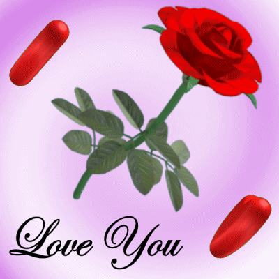 Digital art gif. Red rose is floating in the middle of two red hearts that revolve around it. Text, "Love you."