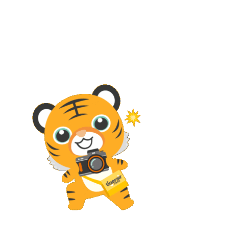 Photography Camera Sticker by tigerairhoojiang