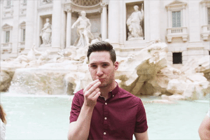 Trevi Fountain Travel GIF
