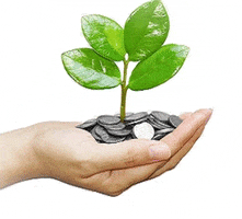 Cooperative Society Software GIF