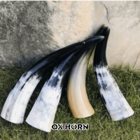 Decor Horn Online Best GIF