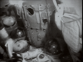 Astronaut Mir GIF by CNES