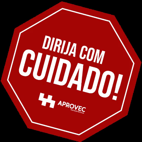 Protecaoveicular Direcao GIF