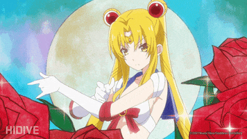 Sailor Moon Cosplay GIF by HIDIVE