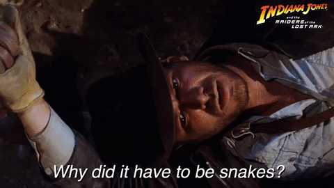Snakes Indiana Jones GIFs - Get the best GIF on GIPHY