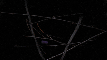 Stop motion gif. Two hands pop up in an extremely dark and scary forest. They find each other and clasped hands intimately before morphing into one.
