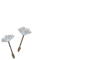 Fly Wind Sticker by Сойкин след