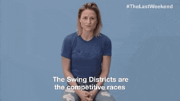 midterm elections vote GIF by Swing Left
