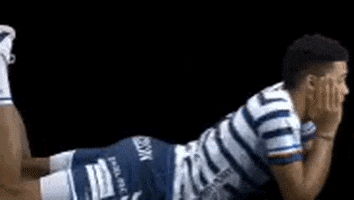 Arago de Sète GIF