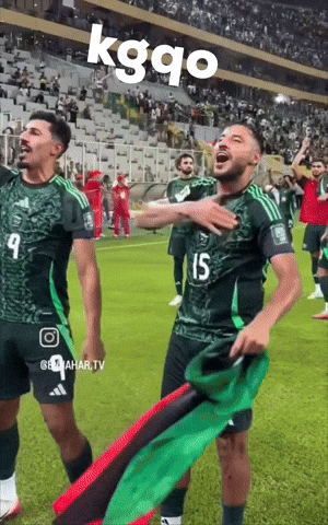 Fans Algeria GIF