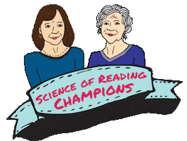 Voyager Sopris Learning Sticker