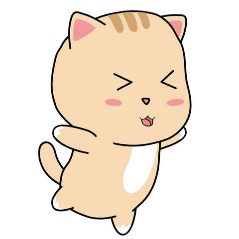 Happy Cat GIF by Chubbiverse