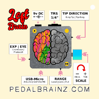 Pedalbrainz GIF
