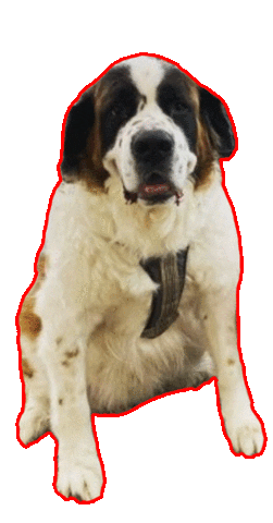 Triad Clean Home Sticker