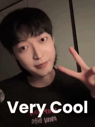 Very Cool GIF by SUNGMIN