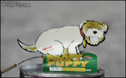 puppy chemical reaction GIF