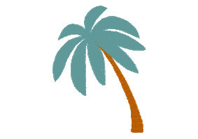 Surf Coqueiro Sticker by Água Doce Praia