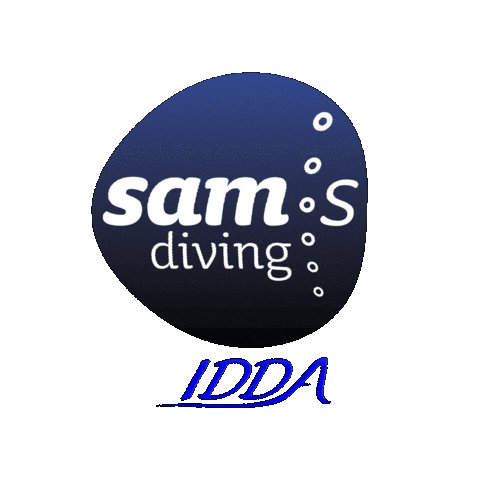 College Diving Sticker by diveidda