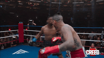 Fight Knockout GIF by Creed III