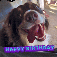 Anniversaire Gifs Get The Best Gif On Giphy