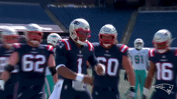 Black Panther Football GIF by New England Patriots