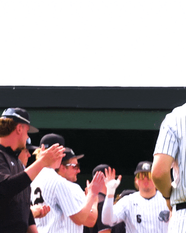 Baseball Dons GIF by Purdue Fort Wayne Athletics