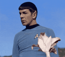 Star Trek GIF