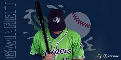Biddle GIF by Gwinnett Stripers - Find & Share on GIPHY