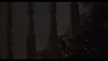 Feet GIF