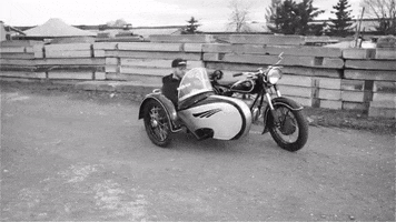 edelstnice GIF