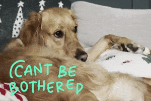 Sleepy Golden Retriever GIF