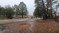 'I Can't Believe It': Rain Floods Farm in Drought-Stricken Rural New South Wales