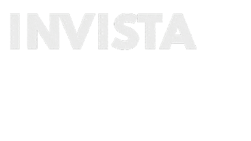 Mundo Traine Sticker