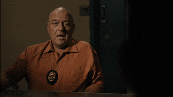 Confused Hank Schrader GIF by Better Call Saul