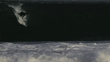 aliklinkenberg  GIF