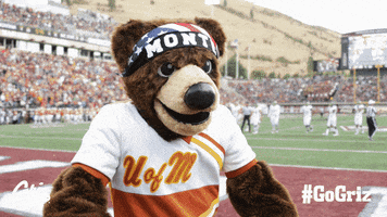 Football Mascot GIF by Montana Grizzlies