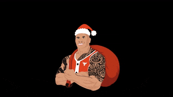 Merry Christmas GIF by ProjectRock